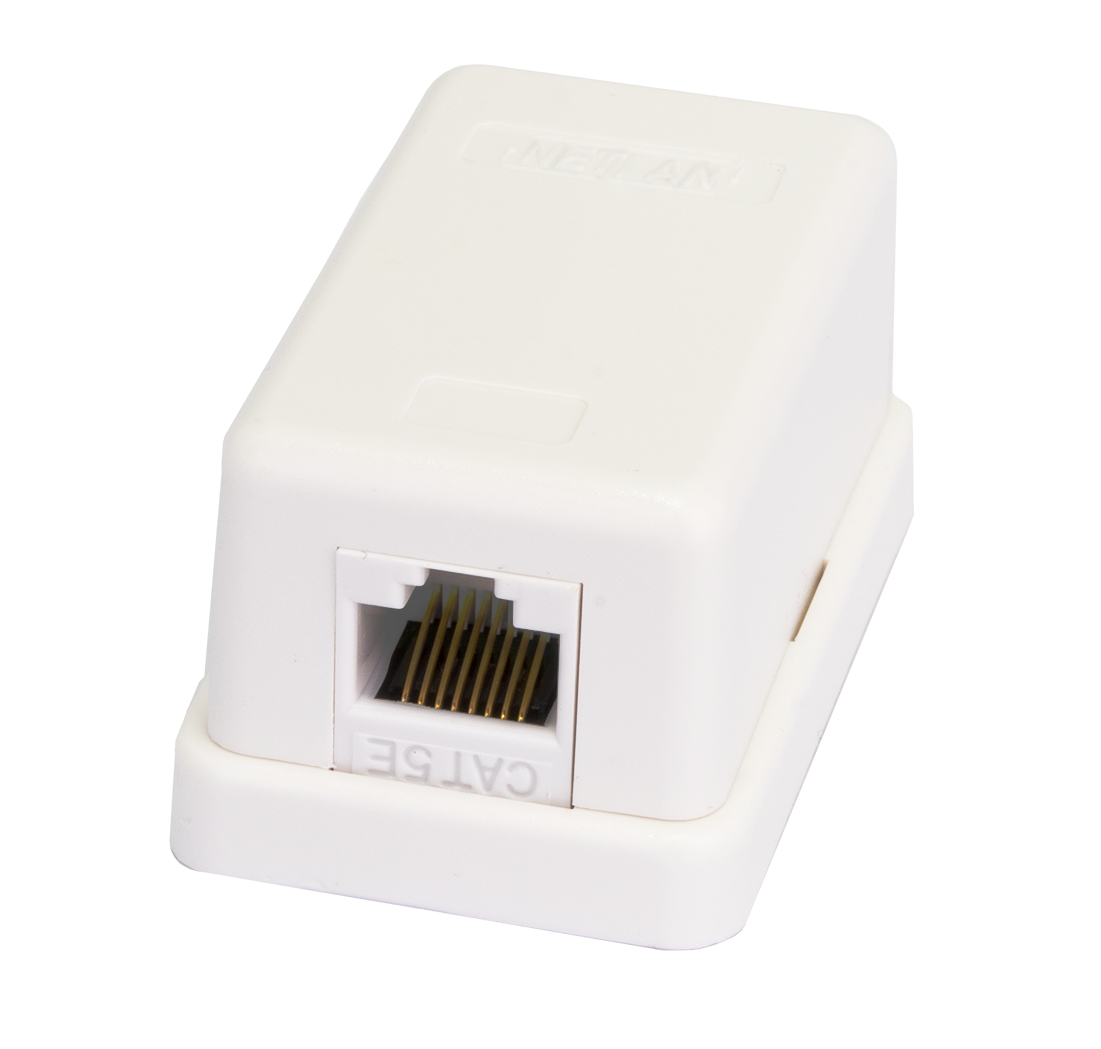 Розетка компьютерная настенная NETLAN, (EC-UWO-1-UD2-WT-10) 1 порт, Кат.5e (Класс D), 100МГц, RJ45/8P8C, 110, T568A/B, неэкранированная, белая