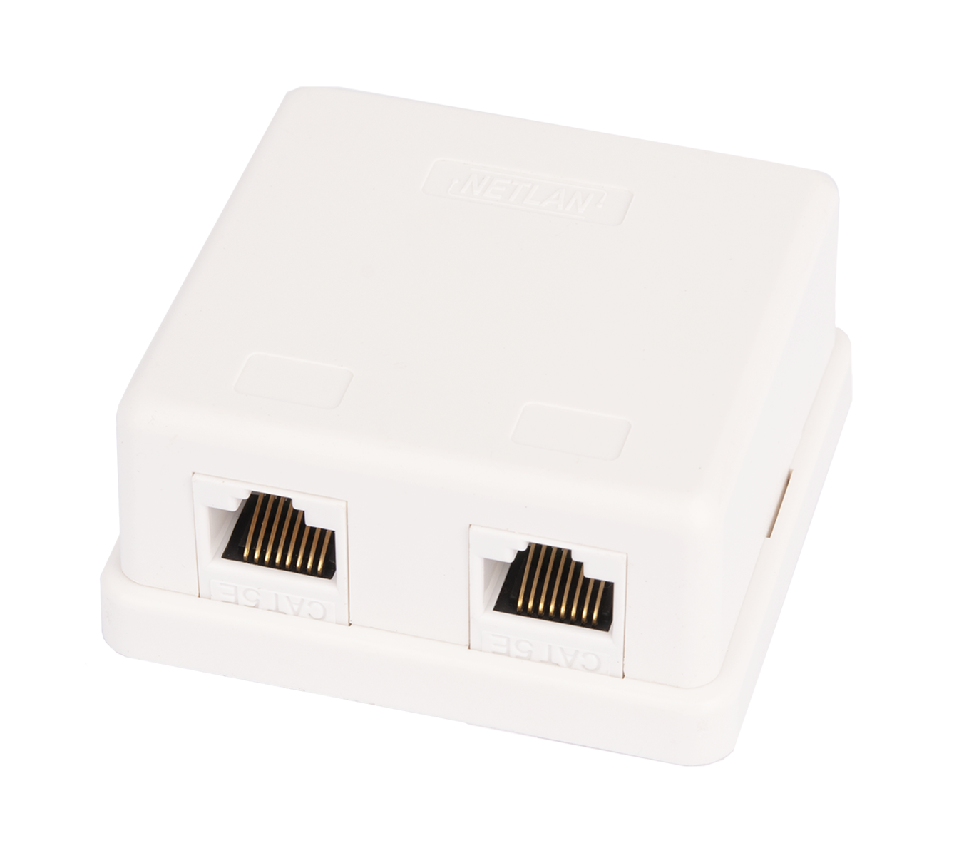 Розетка компьютерная настенная NETLAN, (EC-UWO-2-UD2-WT-10) 2 порта, Кат.5e (Класс D), 100МГц, RJ45/8P8C, 110, T568A/B, неэкранированная, белая